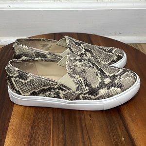 Steve Madden Safary Snake Skin Loafers
